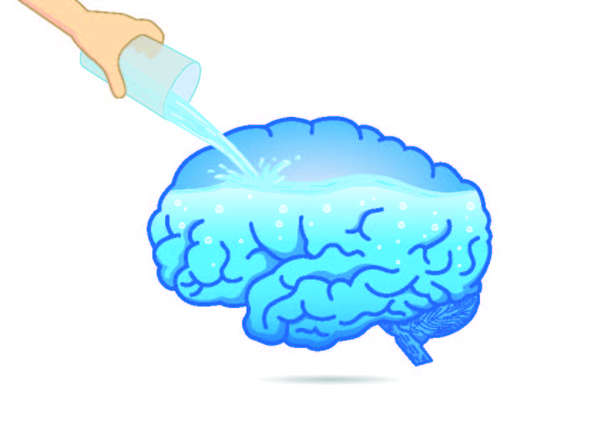 Water, Brainpower, and Beyond: The Remarkable Effects of Hydration on Cognitive Function